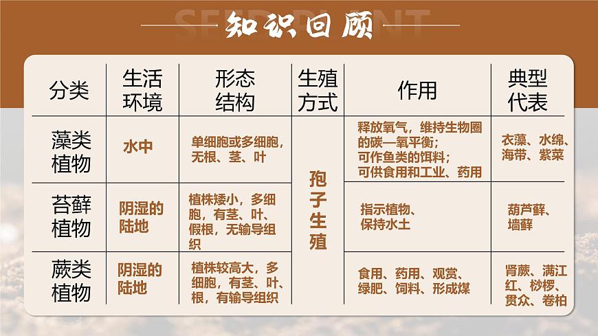 人教版2024七年級上冊生物種子植物 課件第2頁
