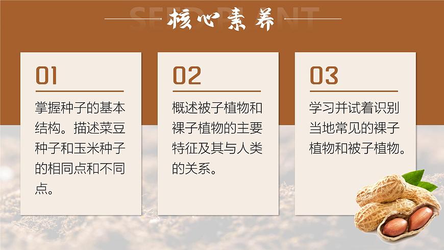 人教版2024七年級上冊生物種子植物 課件第3頁