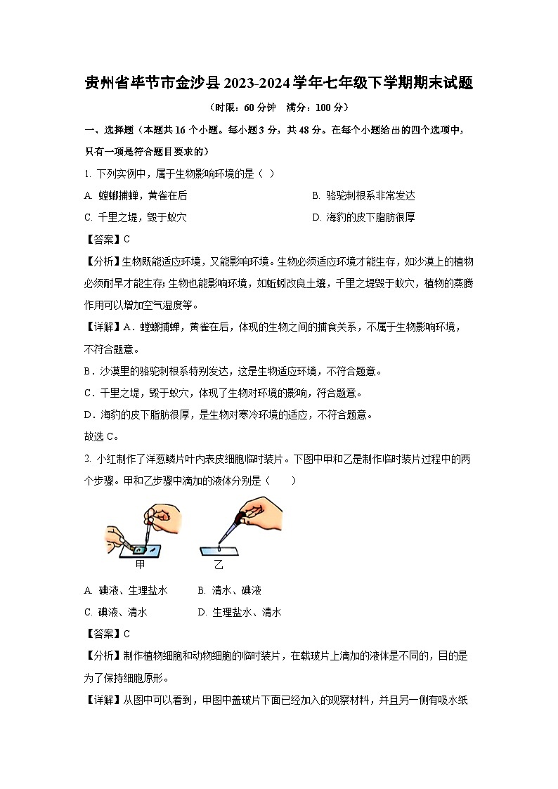 贵州省毕节市金沙县2023-2024学年七年级下学期期末生物试题(解析版)第1页