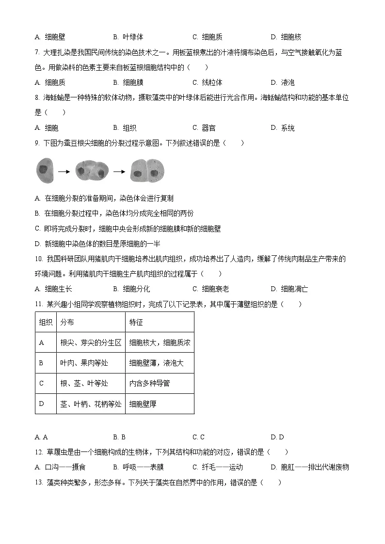 云南省昆明市官渡区2024-2025学年七年级上学期期末生物试题(原卷版+解析版)第2页