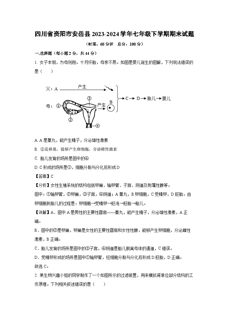 四川省资阳市安岳县2023-2024学年七年级下学期期末生物试题(解析版)第1页