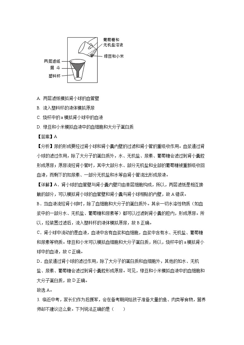 四川省资阳市安岳县2023-2024学年七年级下学期期末生物试题(解析版)第2页