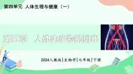 第五章+人體內廢物的排出課件-2024-2025學年人教版生物七年級下冊