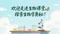 生物济南版(2024)DNA是主要的遗传物质教案配套课件ppt