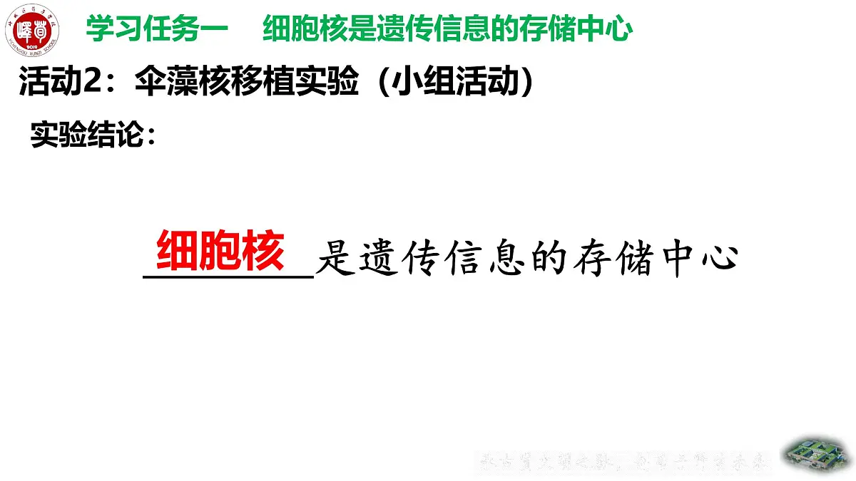 4.3.1++DNA是主要的遗传物质++课件-2024-2025学年济南版生物七年级下册 (1)第8页