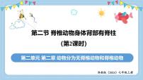 初中生物济南版(2024)七年级上册(2024)脊椎动物身体背部有脊柱教案配套ppt课件