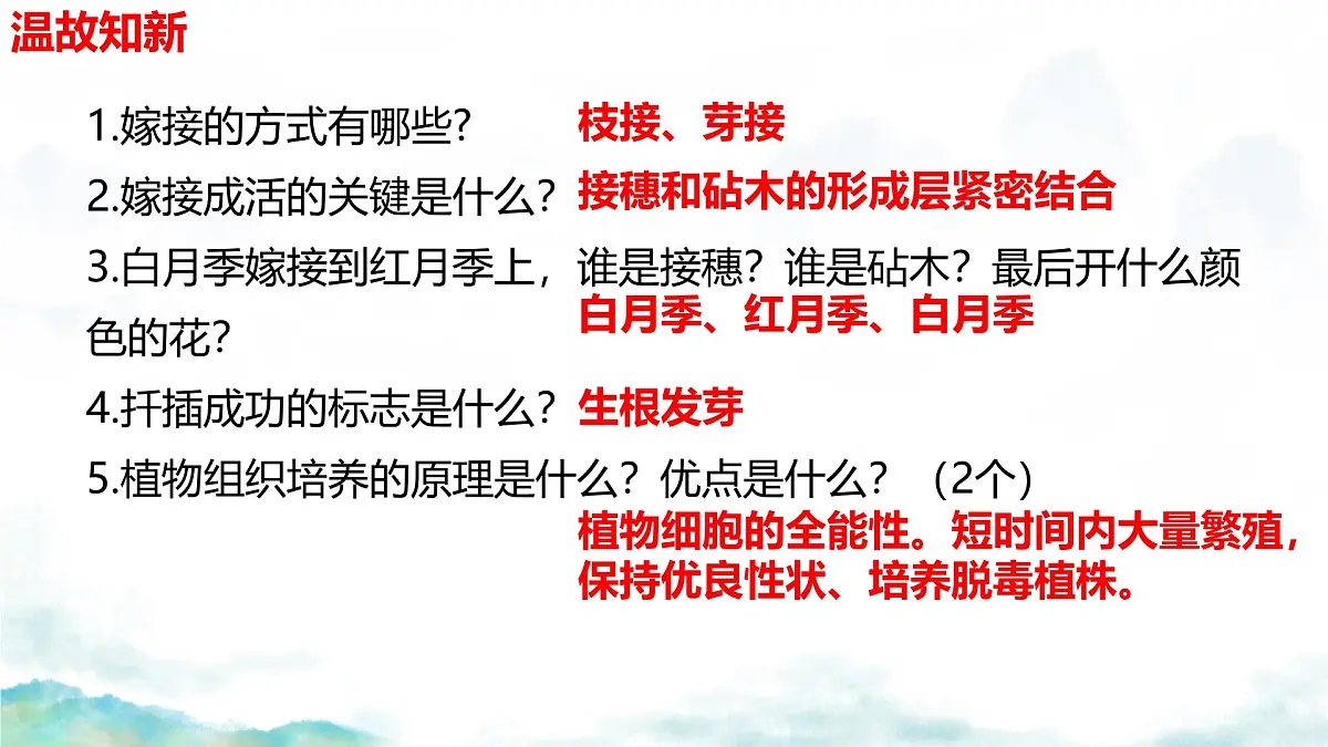 初中生物济南版(2024)七年级下册4.1.1 无性生殖保持了生物遗传特征的稳定(第二课时) 课件第1页