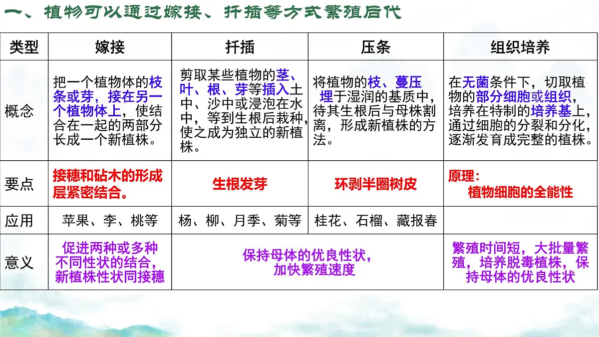 初中生物济南版(2024)七年级下册4.1.1 无性生殖保持了生物遗传特征的稳定(第二课时) 课件第2页