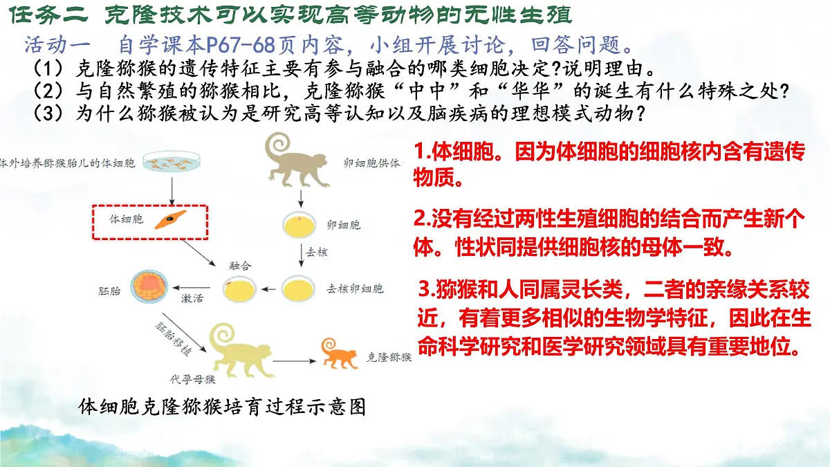 初中生物济南版(2024)七年级下册4.1.1 无性生殖保持了生物遗传特征的稳定(第二课时) 课件第8页