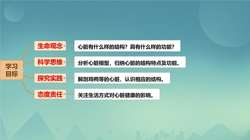 初中生物冀少版（2024）七年級下冊3.2.1 血液循環(huán)系統(tǒng)的組成（心臟） 課件第2頁