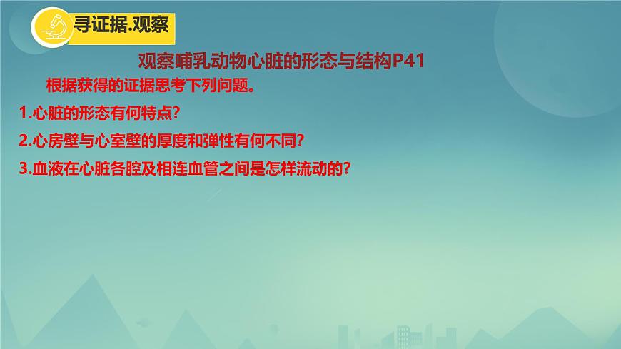 初中生物冀少版（2024）七年級下冊3.2.1 血液循環(huán)系統(tǒng)的組成（心臟） 課件第3頁