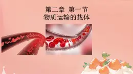 初中生物冀少版（2024）七年級(jí)下冊(cè)3.2.1 血液循環(huán)系統(tǒng)的組成 課件