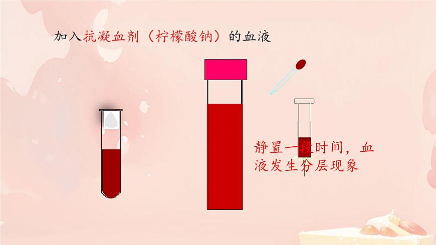 初中生物冀少版（2024）七年級下冊3.2.1 血液循環(huán)系統(tǒng)的組成 課件第6頁
