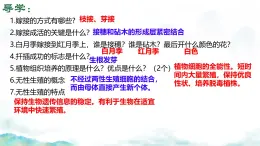 初中 生物 濟(jì)南版（2024）七年級(jí)下冊(cè)4.1.2有性生殖增加了后代的多樣性（第一課時(shí)） 課件
