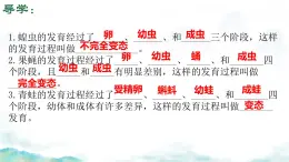 初中 生物 濟(jì)南版（2024）七年級(jí)下冊(cè)4.1.2有性生殖增加了后代的多樣性（第二課時(shí)） 課件