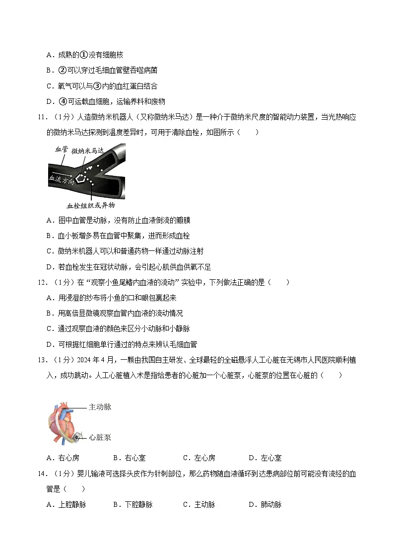 广东省深圳市龙华区2023-2024学年七年级下学期期末生物试卷第3页