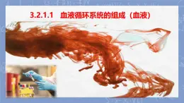 初中 生物 冀少版（2024）七年級(jí)下冊(cè)3.2.1.1   血液循環(huán)系統(tǒng)的組成（血液） 課件