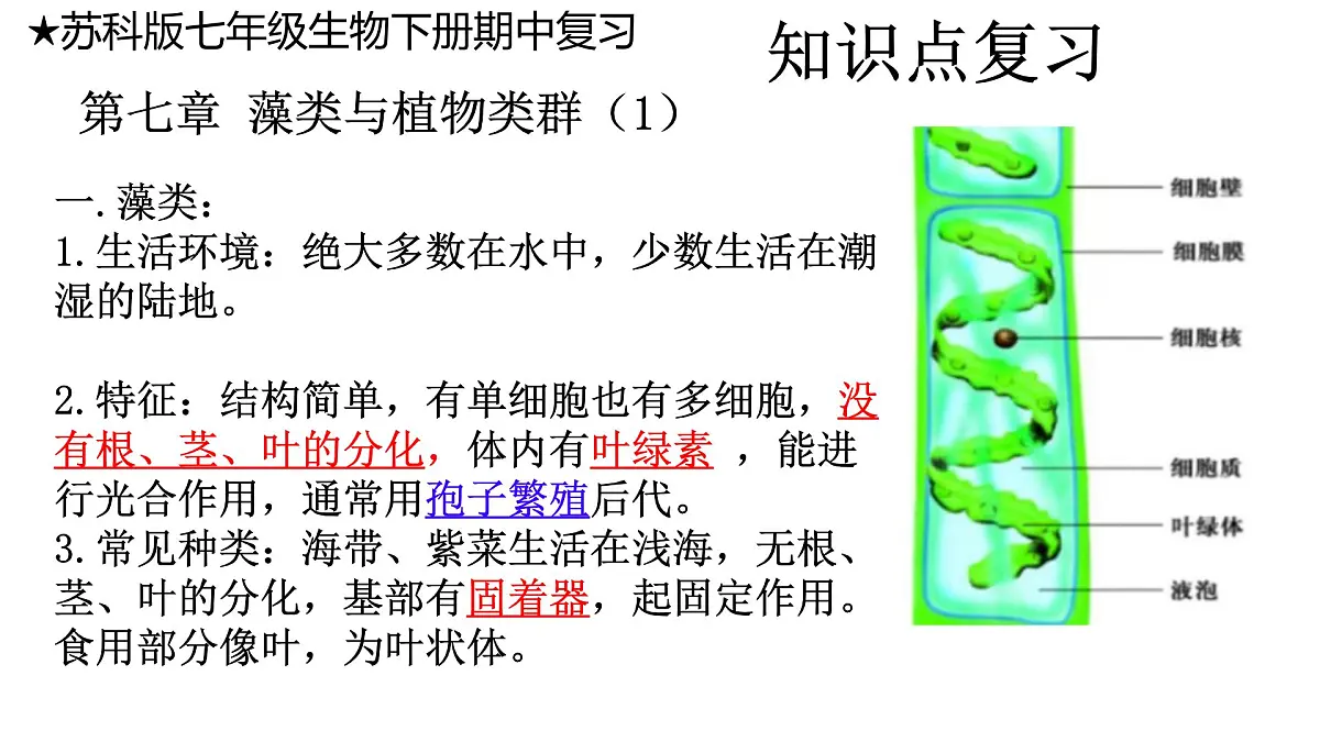 苏科版七年级生物下册期中复习(7-10章) 课件第1页