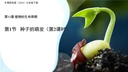 初中 生物 蘇科版（2024）七年級下冊5.11.1 種子的萌發(fā)（第2課時） 課件