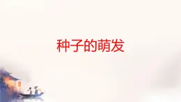 初中 生物 蘇科版（2024）七年級下冊5.11.1 種子的萌發(fā) 課件