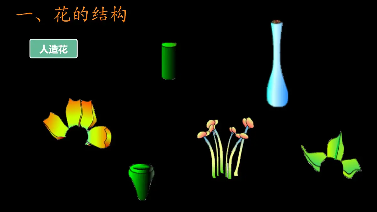 初中 生物 苏科版(2024)七年级下册5.11.3 植物的开花和结果(第一课时) 课件第8页