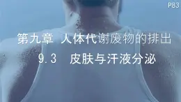 初中 生物 北師大版（2024）七年级下册4.9.3  皮肤与汗液分泌 課件