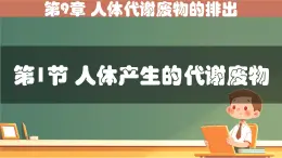 初中 生物 北師大版（2024）七年级下册4.9.1 人体产生的代谢废物 課件
