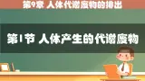 初中 生物 北師大版（2024）七年级下册4.9.1 人体产生的代谢废物 課件