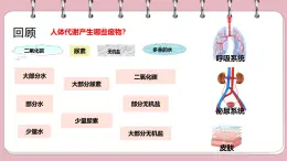 初中 生物 北師大版（2024）七年级下册4.9.3 皮肤与汗液分泌 課件