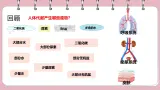 初中 生物 北師大版（2024）七年级下册4.9.3 皮肤与汗液分泌 課件