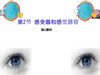 初中生物北师大版(2024)七年级下册(2024)感受器和感觉器官集体备课课件ppt