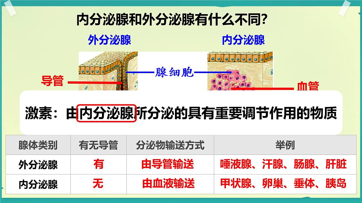 初中 生物 北师大版(2024)七年级下册4.10.3 激素调节 课件第4页
