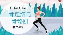 初中 生物 北師大版（2024）七年级下册4.11.2 人体的骨骼肌第二课时 課件