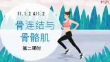初中 生物 北師大版（2024）七年级下册4.11.2 人体的骨骼肌第二课时 課件