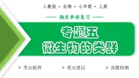 微生物的类群（5大考点+要点速记+真题检测）2025学年七年级生物上学期期末考点大串讲人教版课件