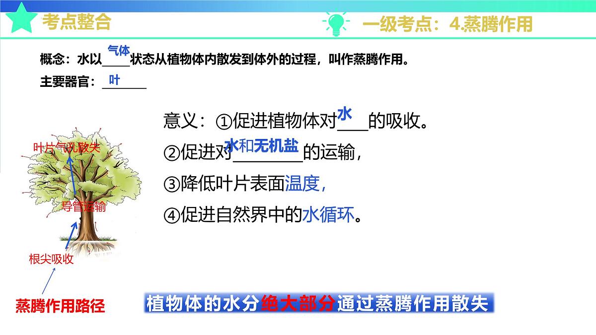 植物能进行光合作用等生命活动(济南版2024)2025学年七年级生物下学期期末考点大串讲济南版课件第7页
