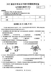 河南新乡市2023-2024学年七年级下学期4月期中生物试卷+答案