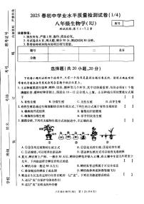 河南新乡市2024-2025学年八年级下学期3月月考生物试卷+答案