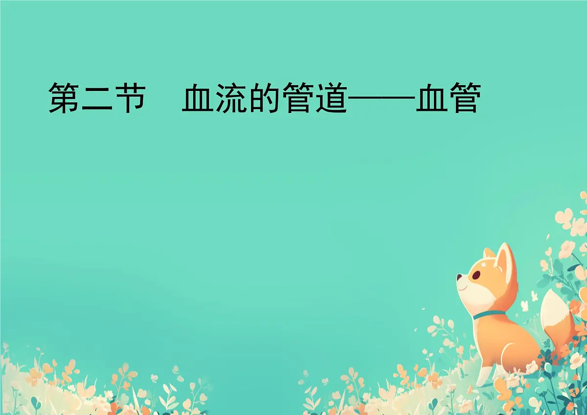 初中生物 人教版(2024)七年级下册4.4.2 血流的管道——血管 课件第1页