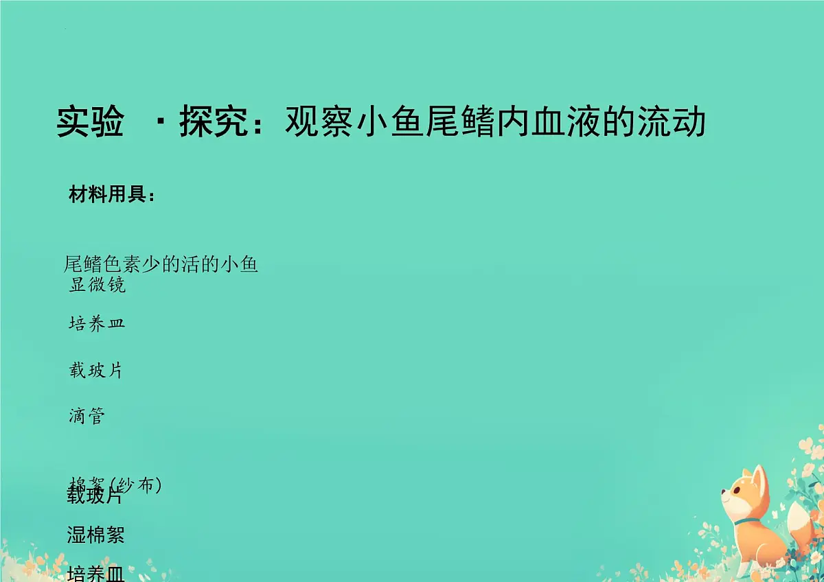 初中生物 人教版(2024)七年级下册4.4.2 血流的管道——血管 课件第6页