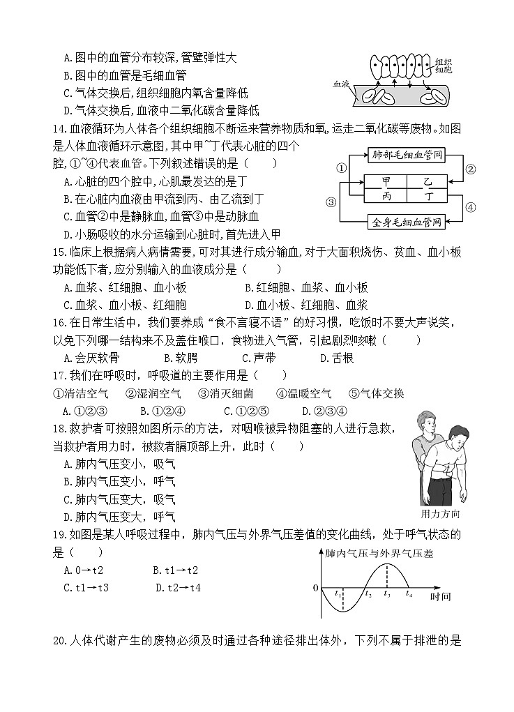 2023-2024第二学期 七年级生物期末检测试题第3页