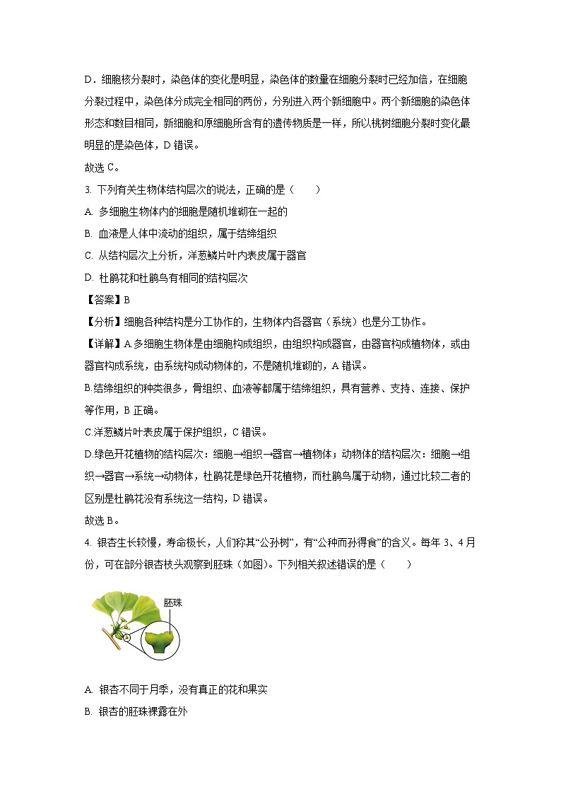 2025年山东省淄博市淄川区中考一模生物试题(解析版)第2页