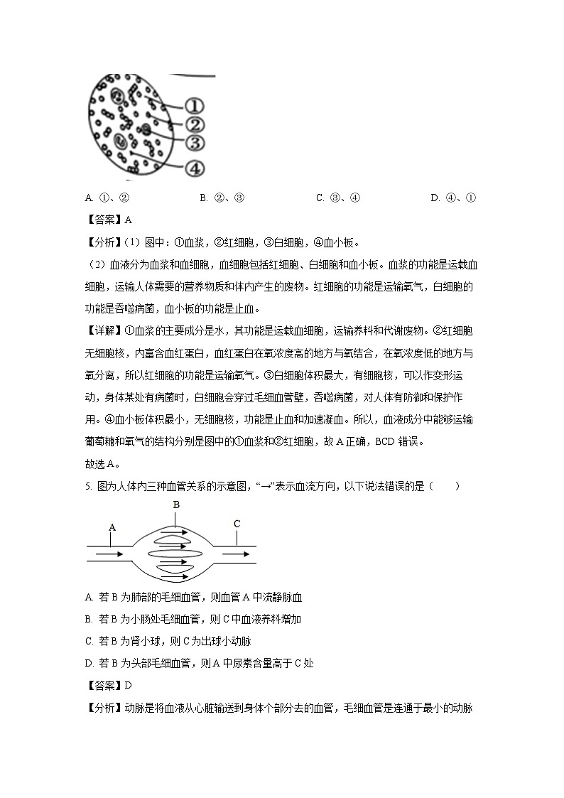 河北省保定市顺平县2023-2024学年七年级下学期期末生物试题(解析版)第3页