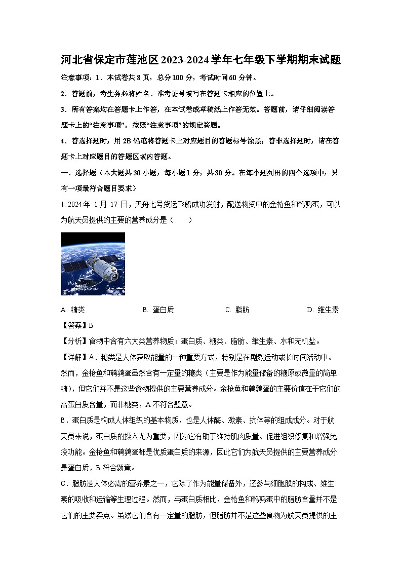 河北省保定市莲池区2023-2024学年七年级下学期期末生物试题(解析版)第1页
