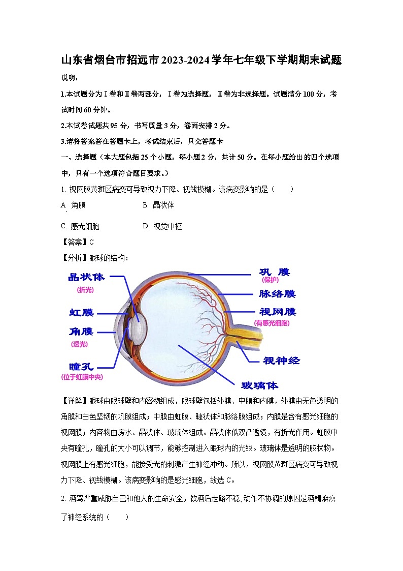 山东省烟台市招远市2023-2024学年七年级下学期期末生物试题(解析版)第1页