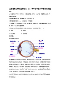 山东省烟台市招远市2023-2024学年七年级下学期期末生物试题(解析版)