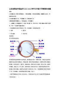 山东省烟台市招远市2023-2024学年七年级下学期期末生物试题(解析版)