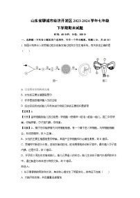 山东省聊城市经济开发区2023-2024学年七年级下学期期末生物试题（解析版）