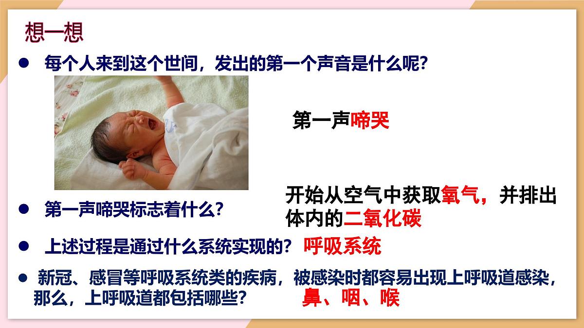 4.3.1 呼吸道对空气的处理 课件-2024--2025学年人教版生物七年级下册第1页