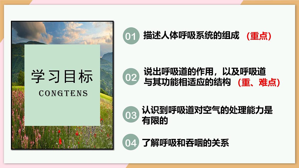 4.3.1 呼吸道对空气的处理 课件-2024--2025学年人教版生物七年级下册第3页